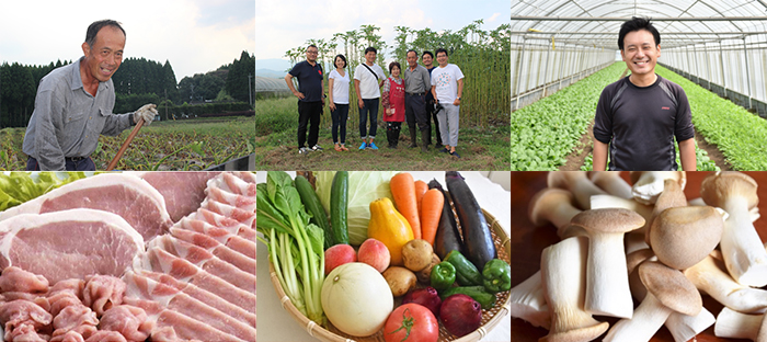 綾町の有機農業を営む農家、生産者のものづくりの様子を視察するYahoo! JAPAN、スターフェスティバル社の一行